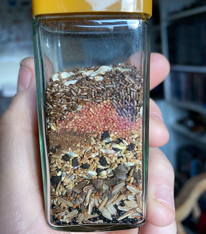These Layers Are The Seeds I Collected Last Year. They Show A Timeline Of When Different Flowers Grow In My Garden