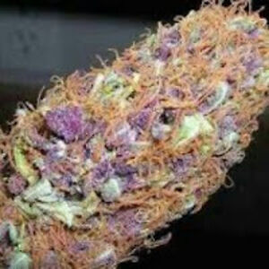 mr_mackmillion avatar