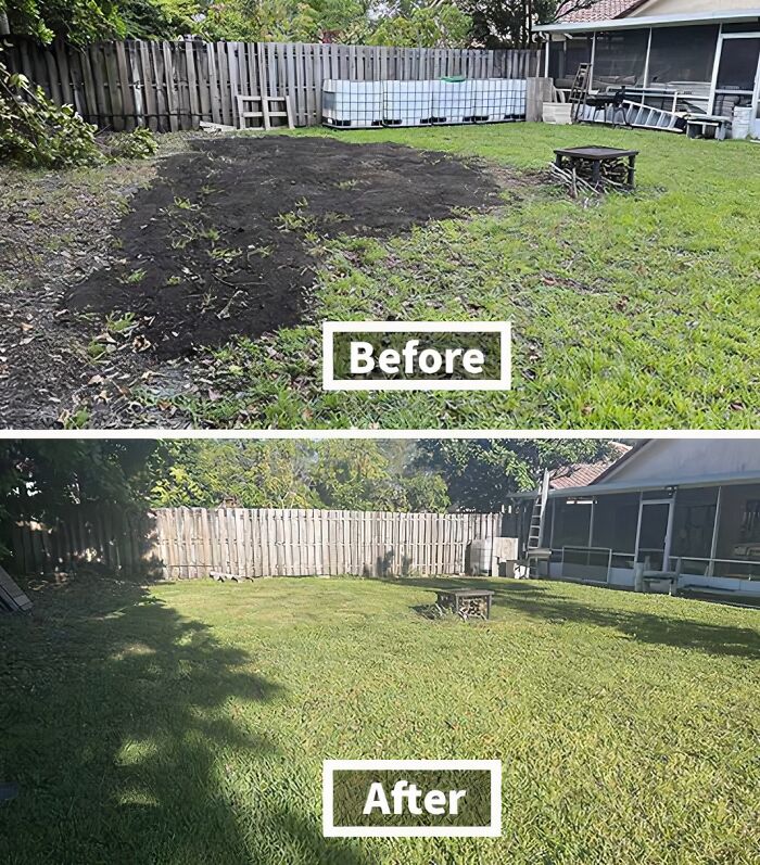 Green Again In No Time: Ez Seed Dog Spot Repair For Lush Lawns!
