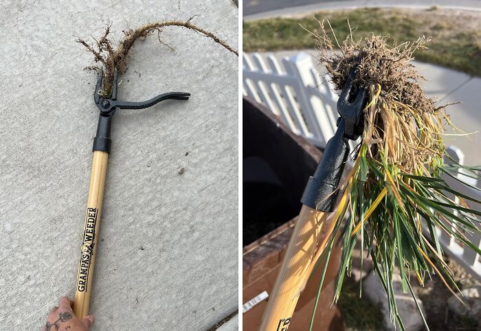  Stand Up Weed Puller: Your Tool For Effortless Garden Maintenance