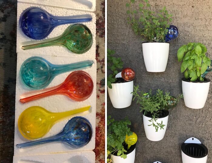 Garden Guardians: Watering Glass Globes For Perfect Plant Moisture!
