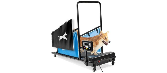 Lifepro Dog Treadmill