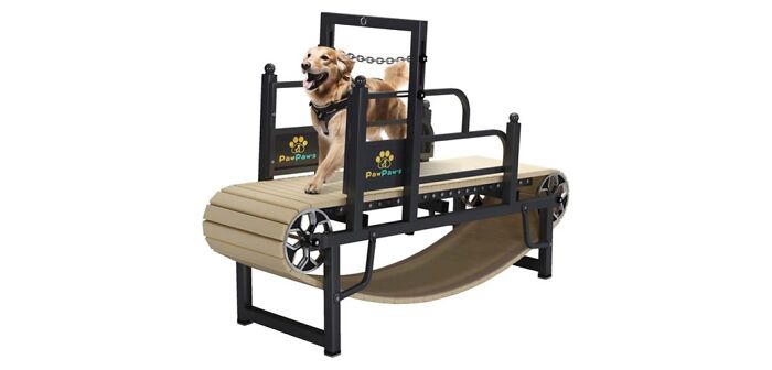 Pawpaw’s Motorless Dog Treadmill