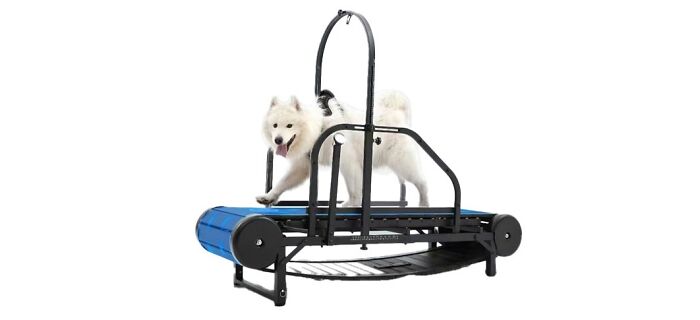 Moysoon Dog Treadmill