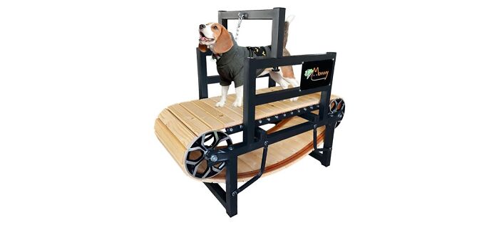 Toymommy Dog Treadmill