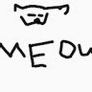 kinsleyvillani avatar