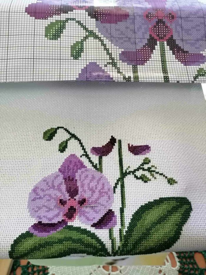My New Wip. Orchids