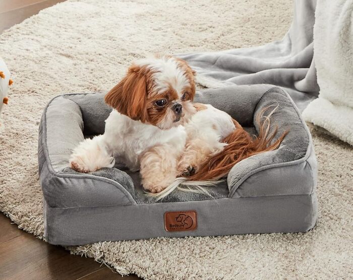 Give Your Pup The Perfect Rest With A Dog Bed: Your Comfy Spot For Tail-Wagging Happiness