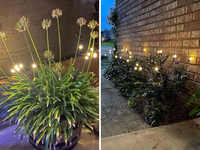 Illuminate Your Garden With Solar Garden Lights: Your Eco-Friendly Solution For Outdoor Ambiance