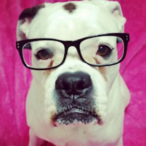 shannonocallaghan avatar