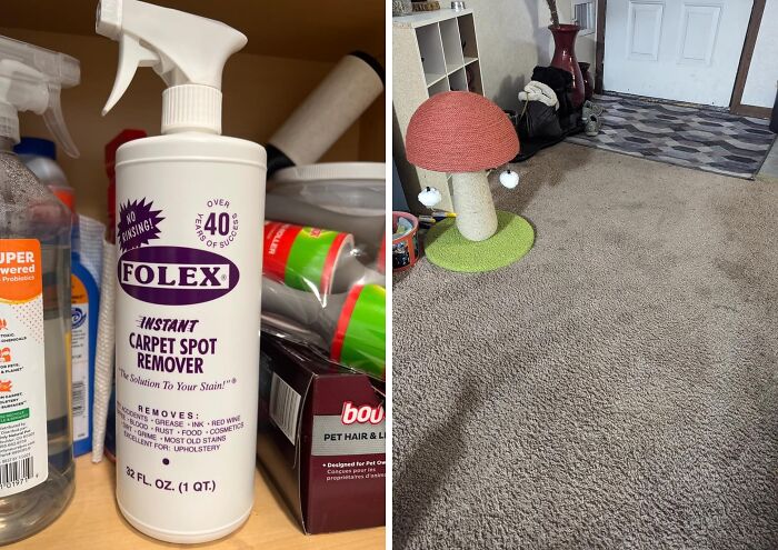 Easily Remove Carpet Stains With The Spot Remover: Your Quick Solution For Clean Floors