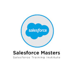 salesforcemasters avatar