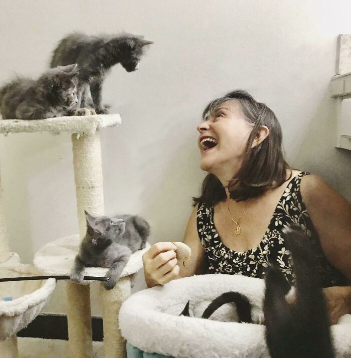 My Parents Were Having A Rough Time So I Invited Them Over To Play With My Five Foster Kittens. This Is My New Favorite Photo Of My Mom