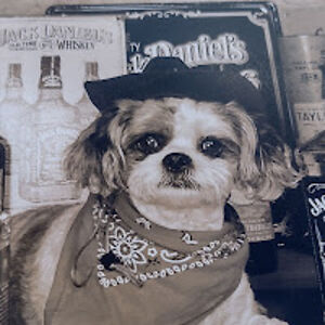 katherinecameron_1 avatar