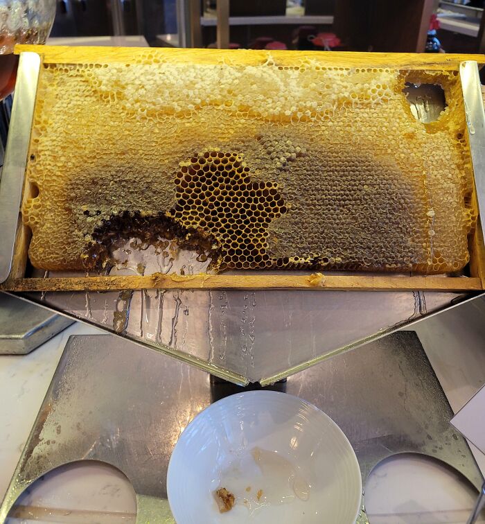 My Hotel In Istanbul Served A Whole Honeycomb For Breakfast