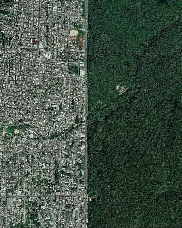 The Border Between The Brazilian City Of "Manaus" And The Amazon Rainforest