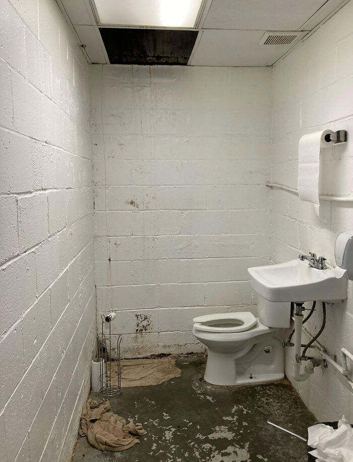 The Staff Bathroom At My Dog Daycare Job, Where Customers Spend $50 A Night To Board Their Dogs