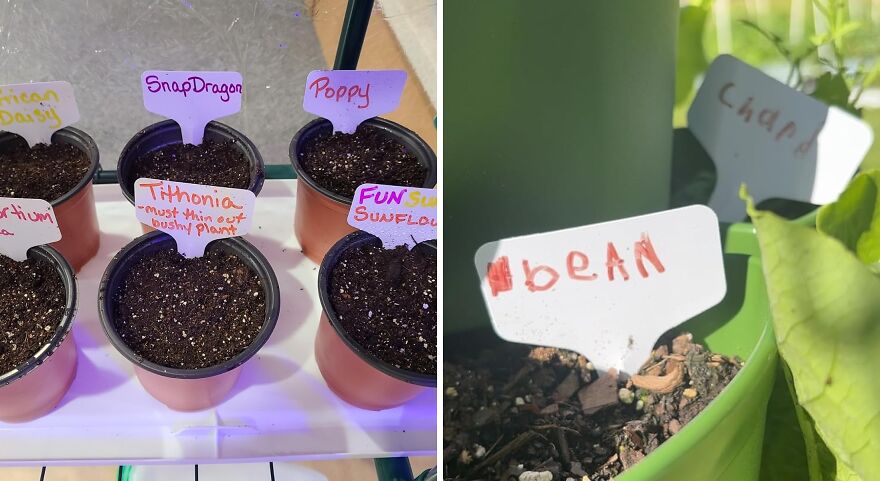 Plant Babies Sorted: T-Type Tags For The Win