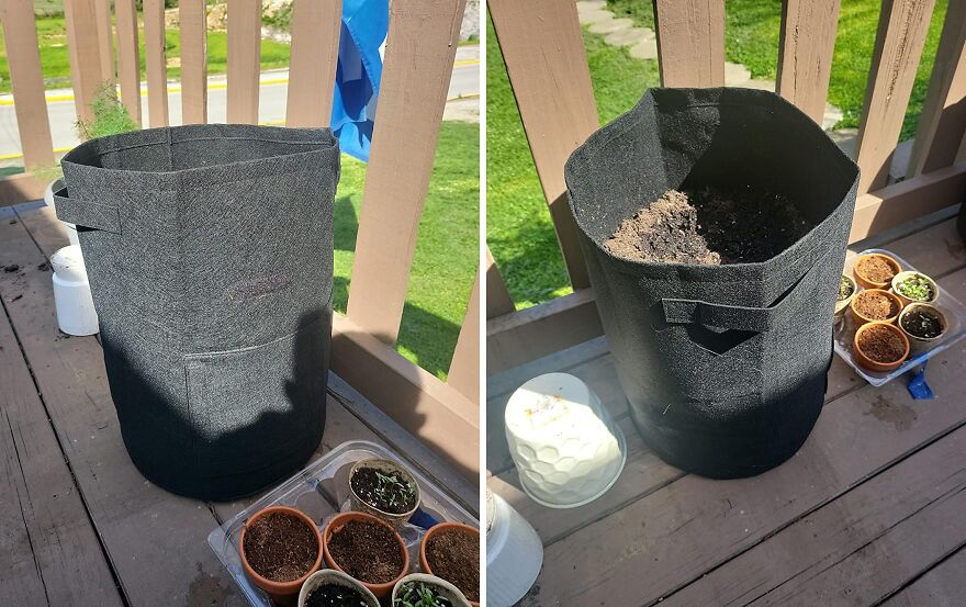 Grow Stuff On The Go: With Jjgoo 10 Gallon Bags, Your Garden Moves With You