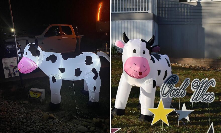 Moo-Ve Over Boring Decor! Lit Inflatable Cow Is Here To Slay Your Lawn