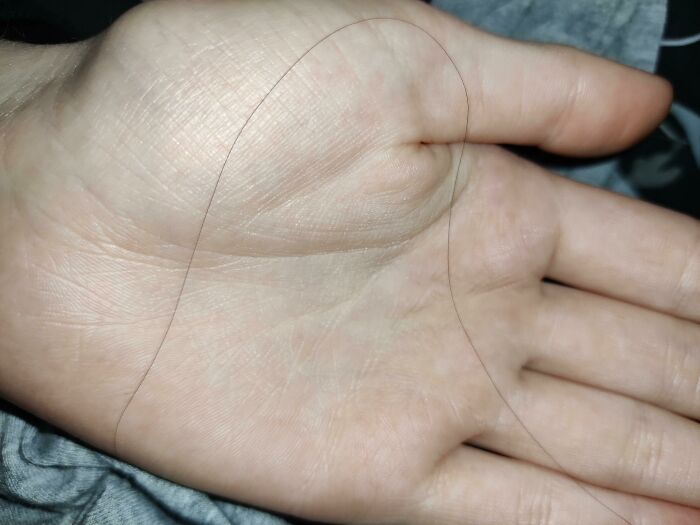 I Went On A Vacation And When I Came Back I Found This Long Brown Hair On My Pillow. I'm A Brunette With Long Hair And I Live Alone So Its My Hair