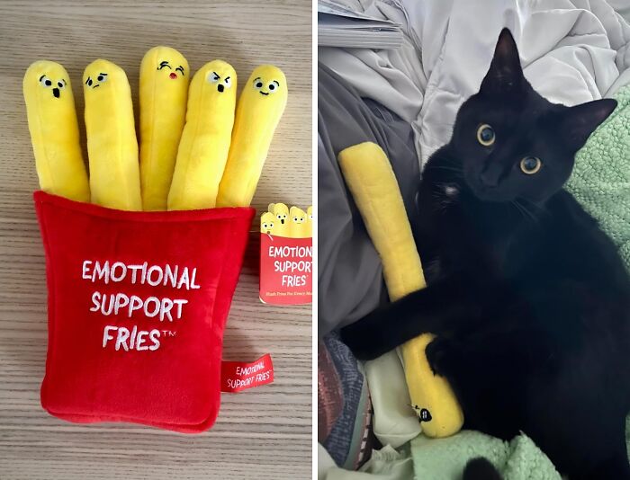 Hey Mom, Feeling Salty? Grab Some Emotional Support Fries!