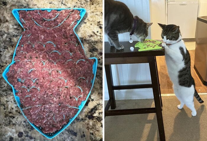 Whisker-Licking Good! Fish-Shaped Cat Lick Mats Deliver Fun And Relaxation For Your Kitty With Every Bite!
