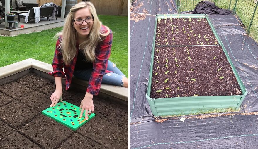 Let Seeding Square Give You Spacious, Organized & Weed-Less Garden Win