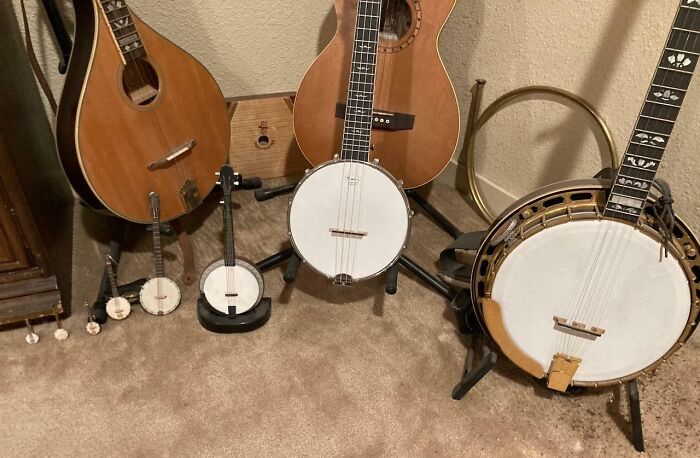 My Dad's Banjo Collection
