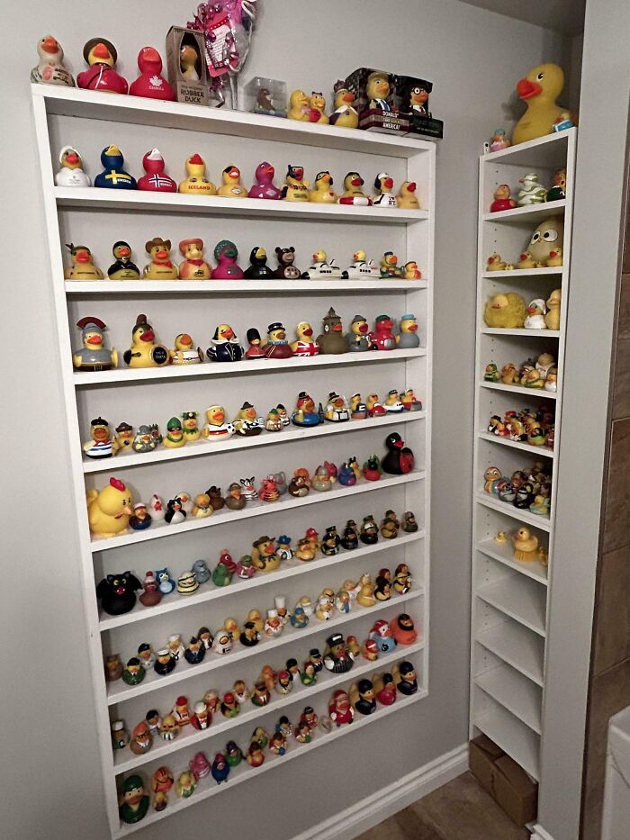 This Collection Of Rubber Ducks