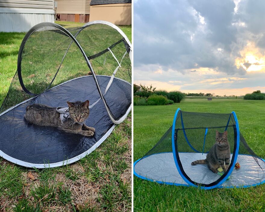 Furry Pal, Fun Outdoors: Pop Up Cat Tent For Unleashed Adventures!