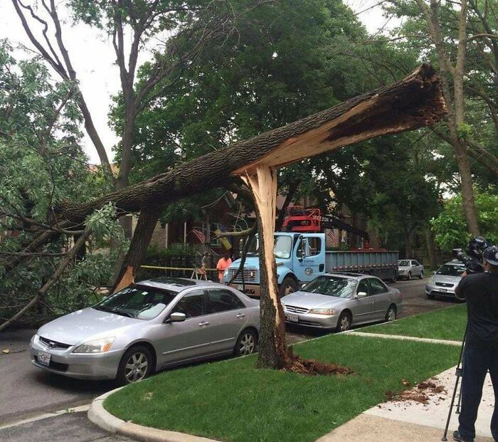 A fallen tree split perfectly, landing on a silver car, showcasing one of the wild coincidences captured in real photos.