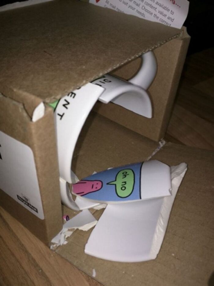 Broken ceramic mug with a cartoon and the phrase oh no inside a torn cardboard box showing wild coincidences captured in photos