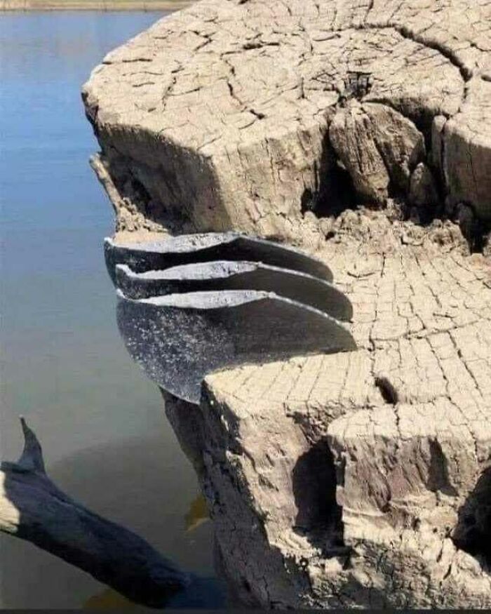 Split tree stump with metal bands creates a wild coincidence that looks unreal but was captured in a photo.