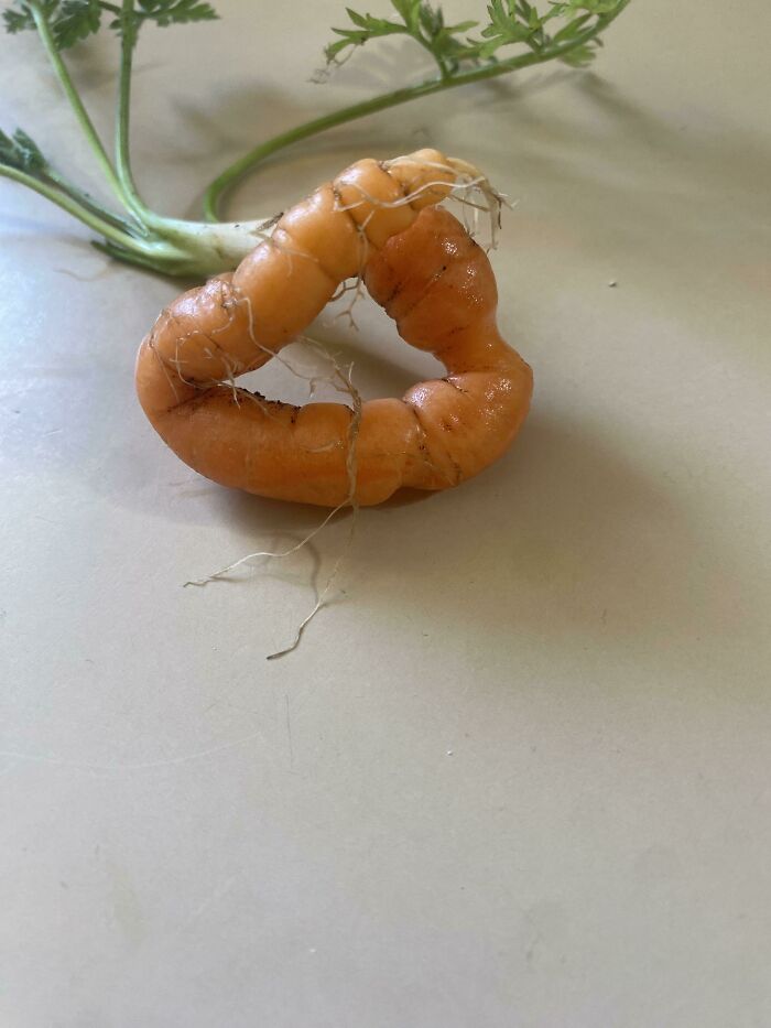 Please Enjoy My Bountiful Harvest- Triangle Carrot