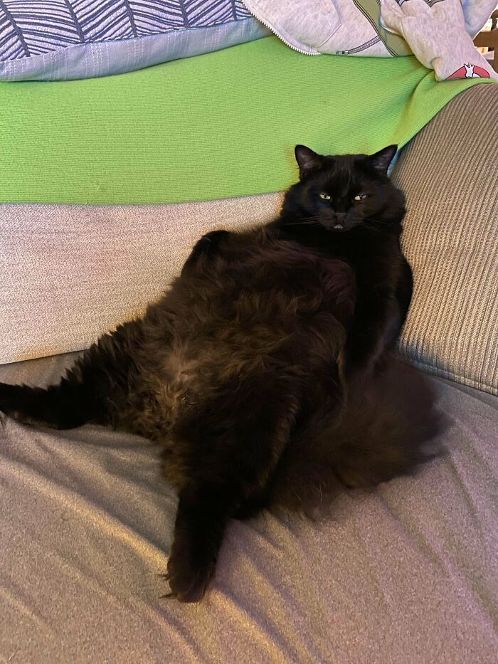 My Void Always Sits Like This, He Thinks He’s People…