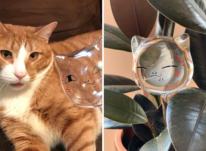 Turn Plant Care Into A Purr-Ty With These Cute Cat Watering Globes - Trust Us, Your Ferns Will Thank You!