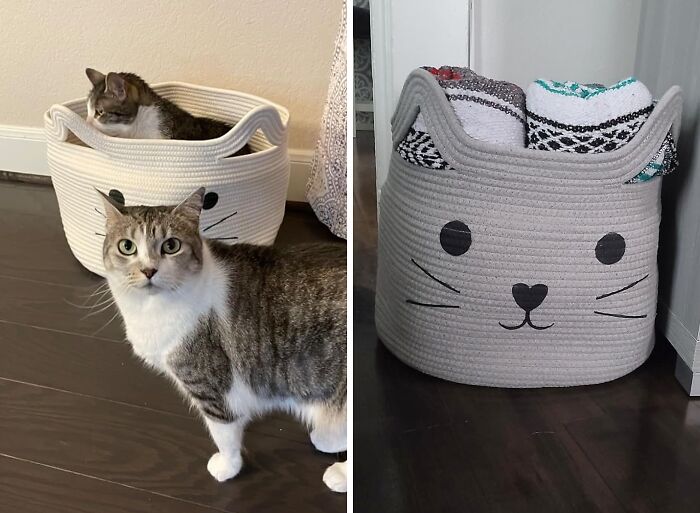 From Blankets To Balls Of Yarn, This Stylish Cotton Rope Basket Is A Cat Lover’s Dream Organizer!