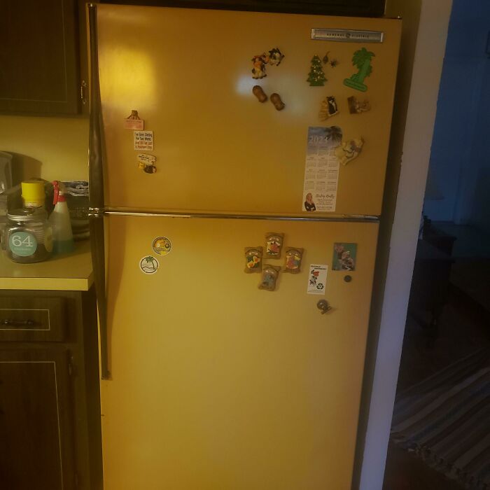 It Is With Grave Sorrow That I Announce Our 52 Year Old General Electric Refrigerator Has Chilled Its Last Grocery (Defrost Heater No Longer Available)