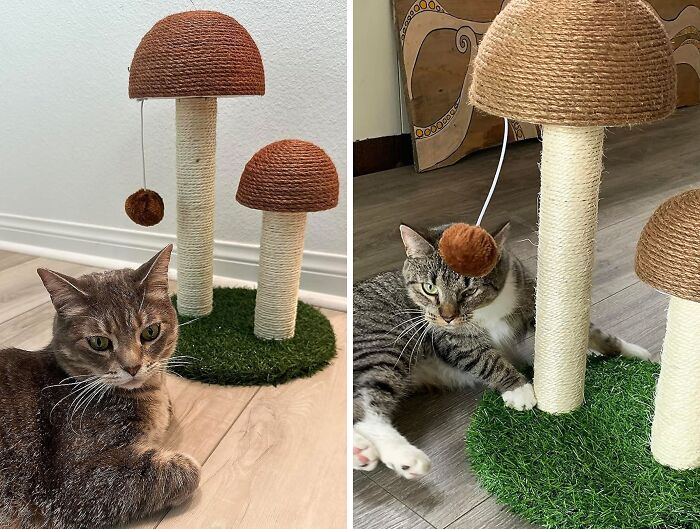 Gift Your Cat Endless Fun With This Tall Mushroom Scratcher That's Also A Cute Decor Piece!