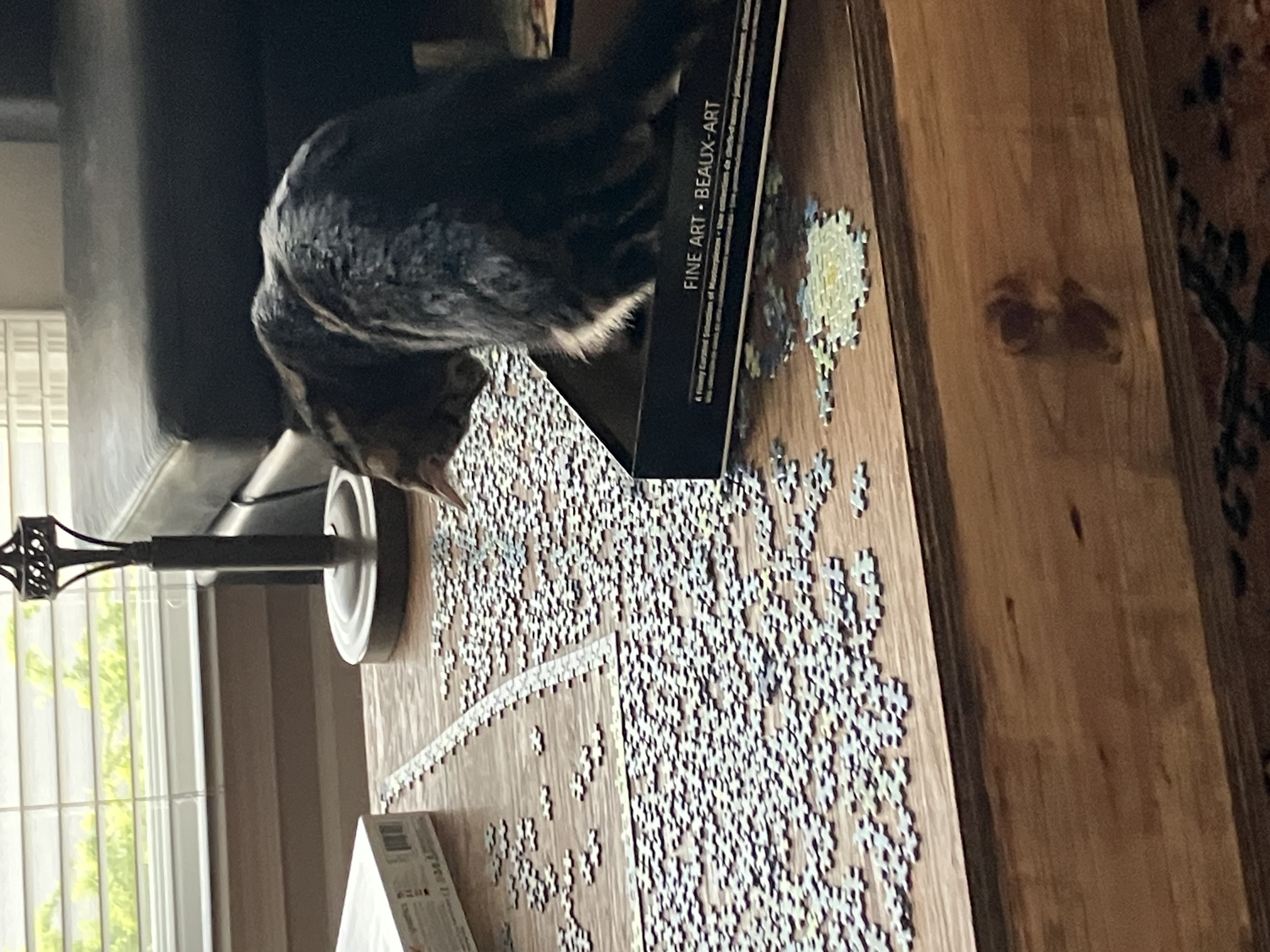 Share A Photo Of Someone You Can’t Live Without!