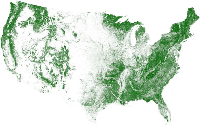 Tree Cover Map Of The Us