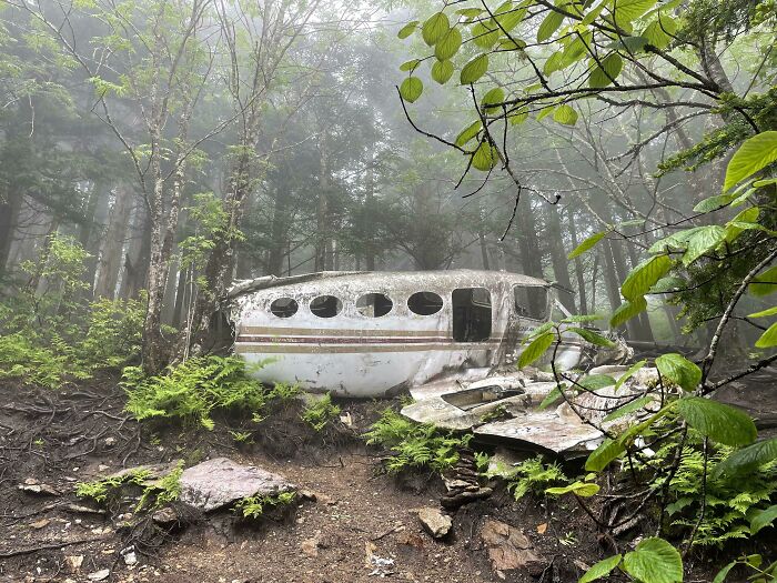 A Plane Crash I Hiked To In North Carolina