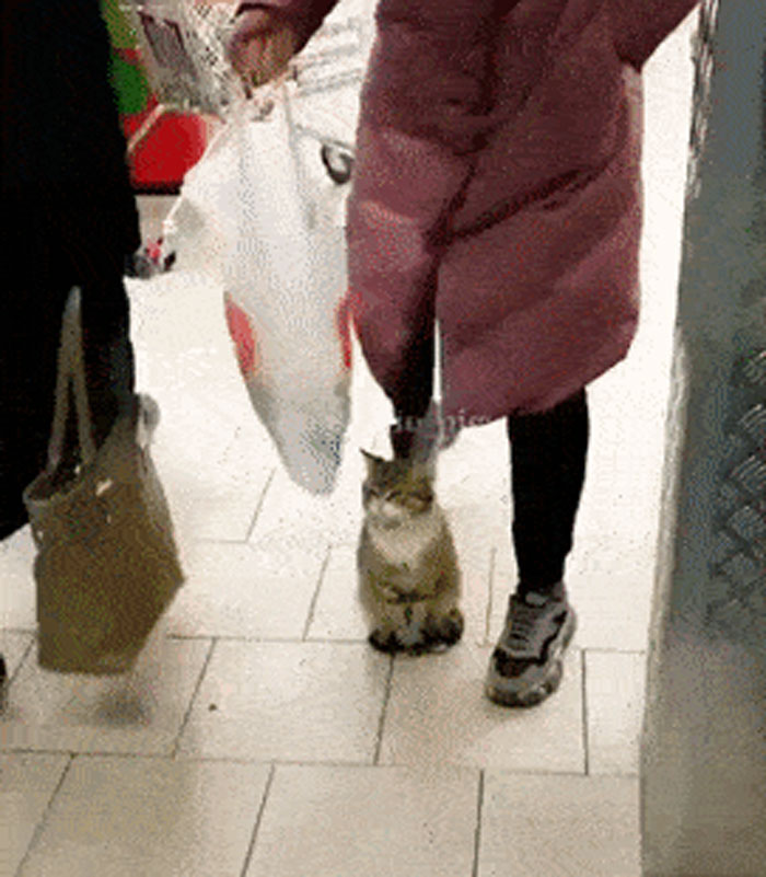 He Doesnt Give A Flying F