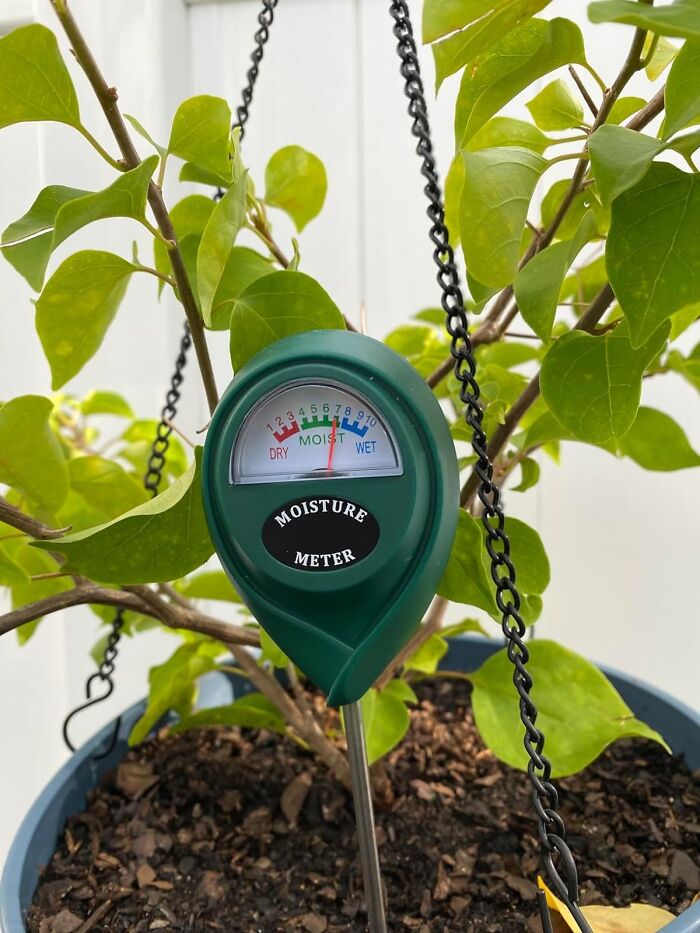 Don't Guess, Test: Soil Moisture Meter For Happy, Hydrated Plants!