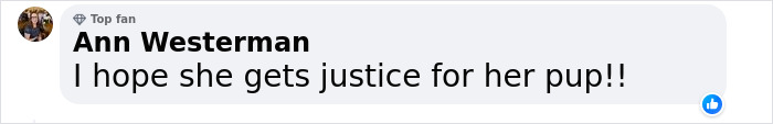 “Yeah, I Shot Your Dog”: Angie Harmon “Traumatized” After Instacart Driver Kills Family Pet “Yeah, I Shot Your Dog”: Angie Harmon “Traumatized” After Instacart Driver Kills Family Pet