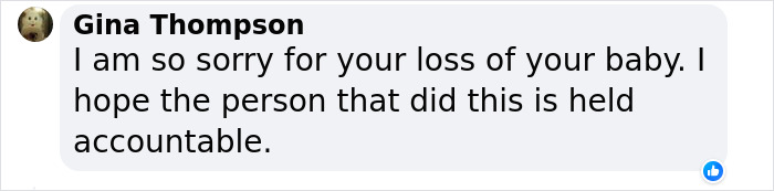 “Yeah, I Shot Your Dog”: Angie Harmon “Traumatized” After Instacart Driver Kills Family Pet “Yeah, I Shot Your Dog”: Angie Harmon “Traumatized” After Instacart Driver Kills Family Pet