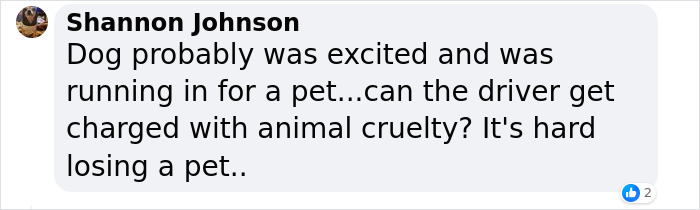 “Yeah, I Shot Your Dog”: Angie Harmon “Traumatized” After Instacart Driver Kills Family Pet “Yeah, I Shot Your Dog”: Angie Harmon “Traumatized” After Instacart Driver Kills Family Pet