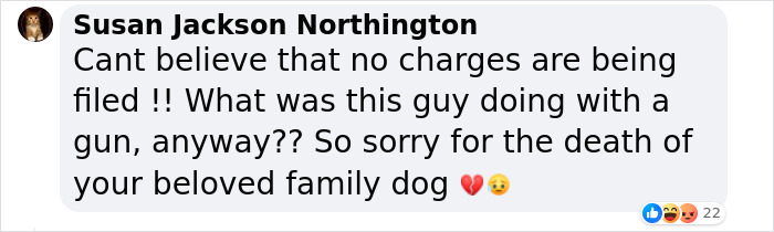 “Yeah, I Shot Your Dog”: Angie Harmon “Traumatized” After Instacart Driver Kills Family Pet “Yeah, I Shot Your Dog”: Angie Harmon “Traumatized” After Instacart Driver Kills Family Pet