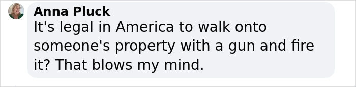 “Yeah, I Shot Your Dog”: Angie Harmon “Traumatized” After Instacart Driver Kills Family Pet “Yeah, I Shot Your Dog”: Angie Harmon “Traumatized” After Instacart Driver Kills Family Pet